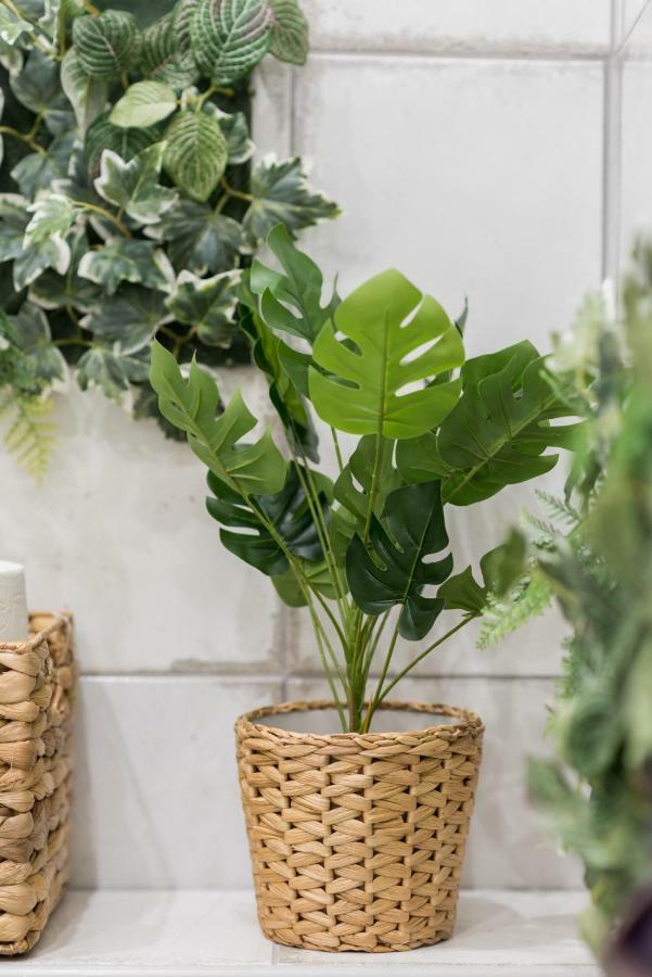 Appartement Jungle Design